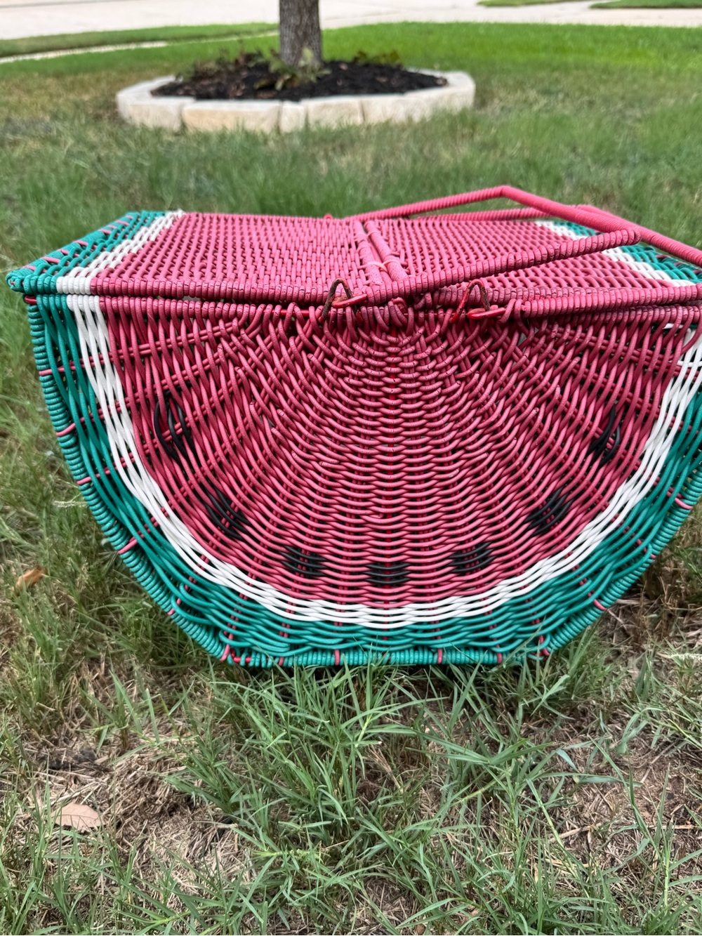 Watermelon Shaped Wicker Picnic Basket Red Green White Black Fruit Print